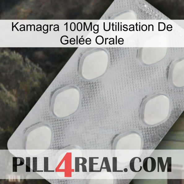 Kamagra 100Mg Utilisation De Gelée Orale 16